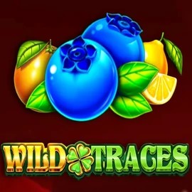Wild Traces by Amusnet Interactive, showcased at gloriousbingo.net – game logo